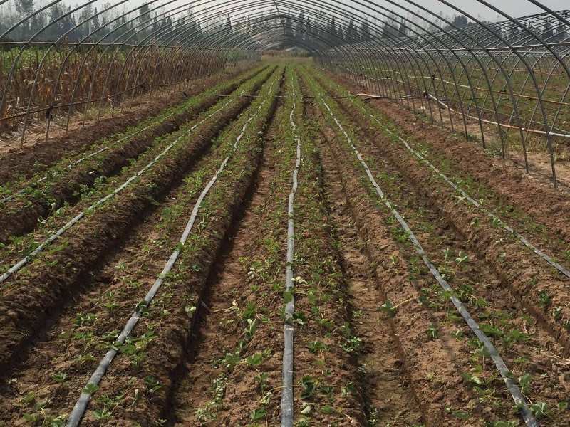 large-farm-irrigation-system