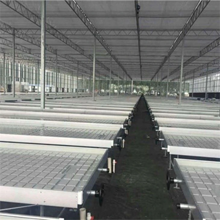 rolling benches for growing