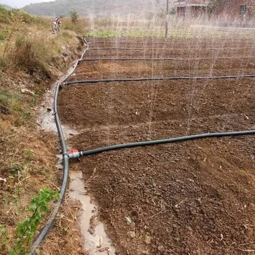 Laser Rain Spray Watering Hose Irrigation Full Kits System